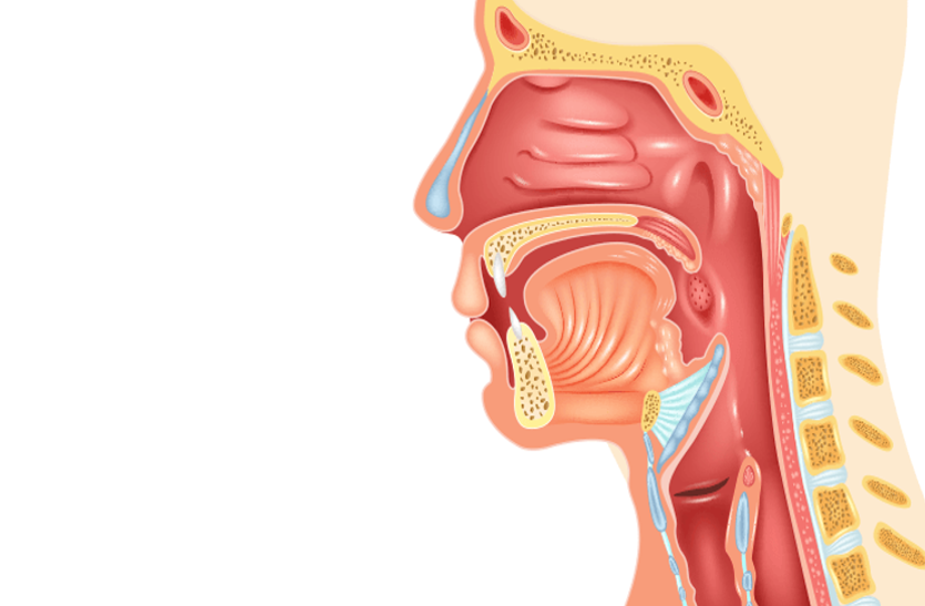 brain-cancer-and-neck-cancer-affects-other-parts-of-the-body