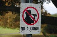 no alcohol