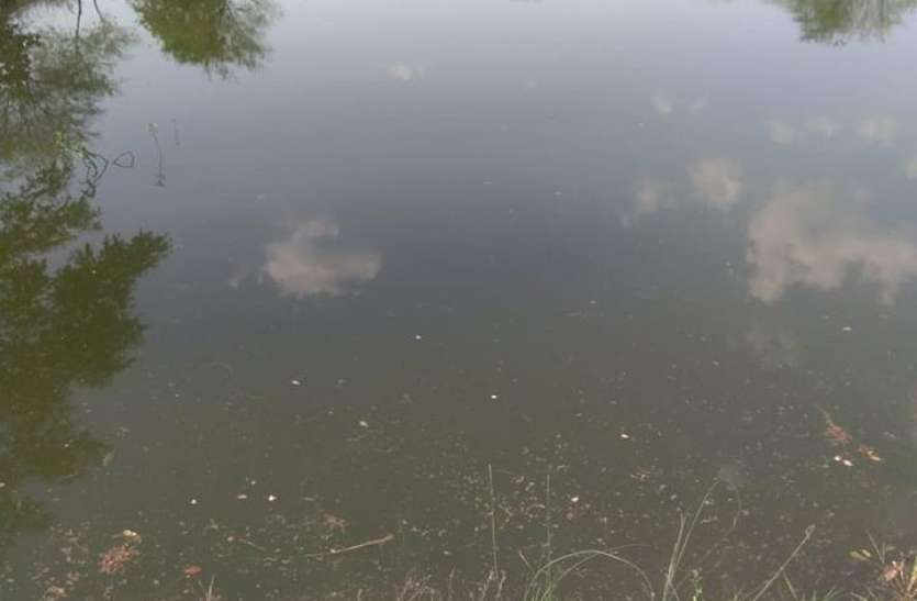 Elderly drowned in pond in bhilwara