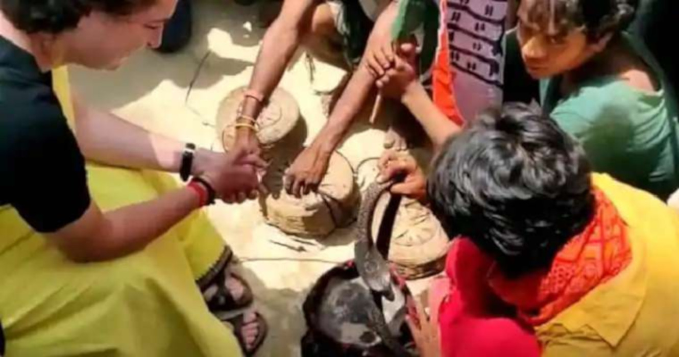 Priyanka Gandhi Vadra clean chit in snake case