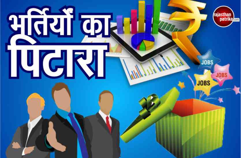 Rajasthan Budget in jobs
