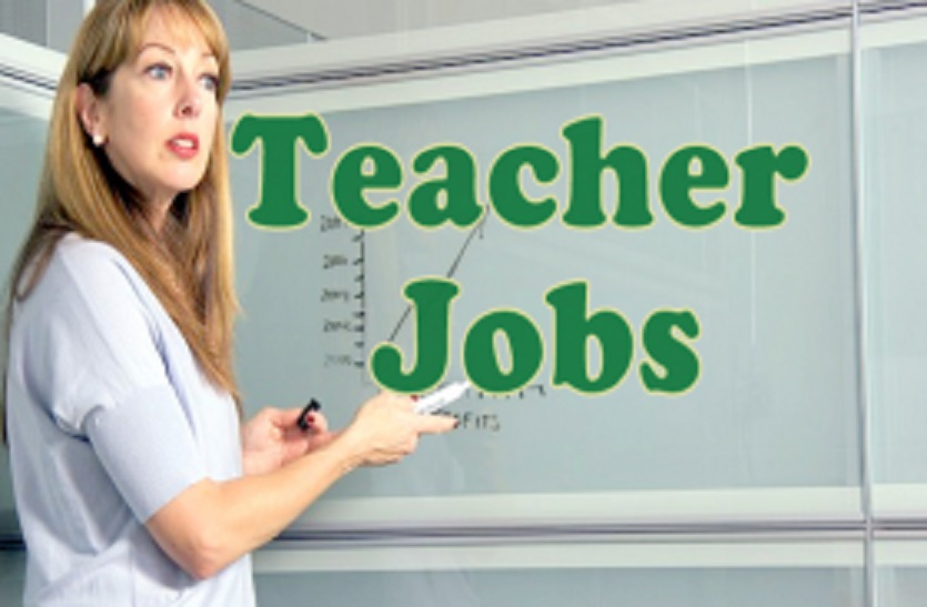 govt. teacher job