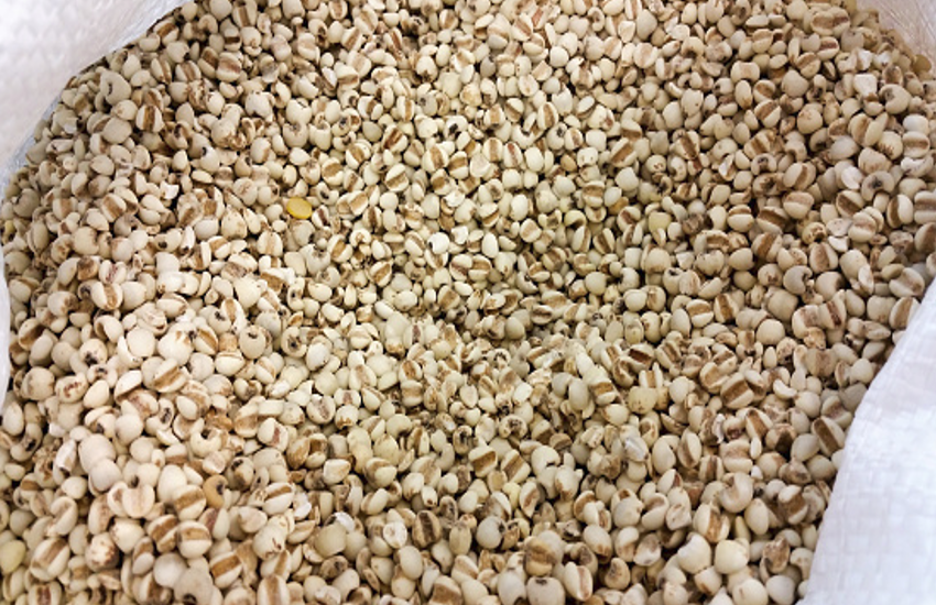 millet pasta