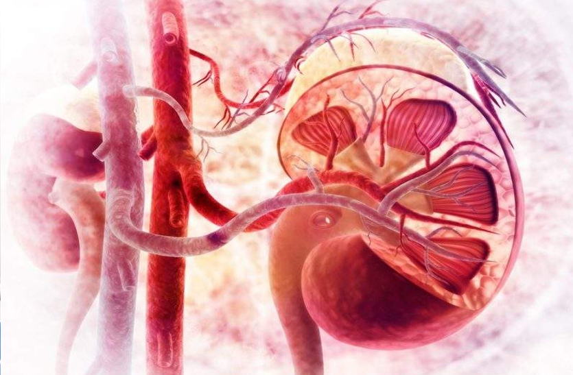 kidney-cancer-symptoms-of-kidney-cancer