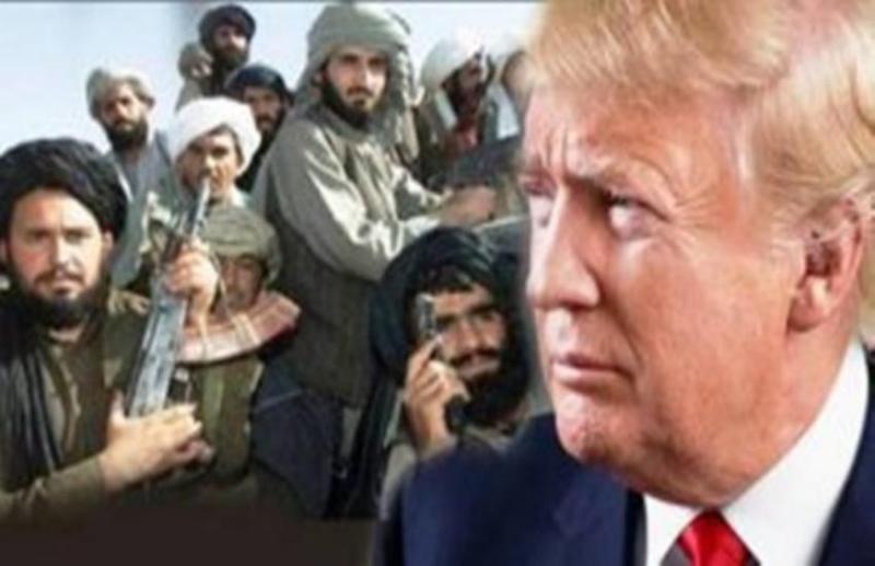 डोनाल्ड ट्रंप