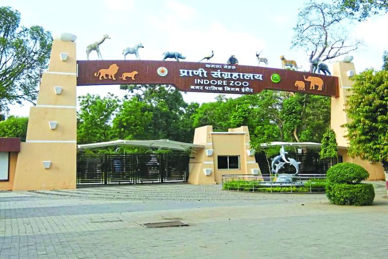 indore zoo