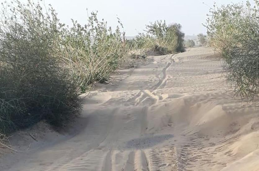 sand dunes on road