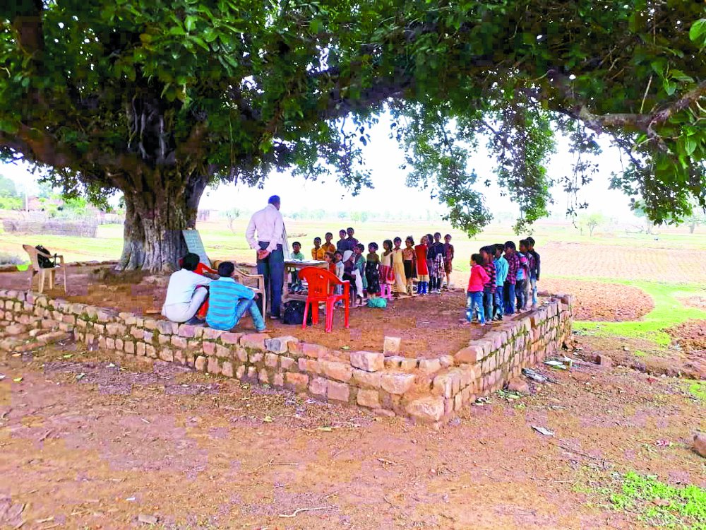 satna children are forced to study under banyan tree from 24 years