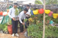 Plantation : Sale of stopped plants with rain stoppage