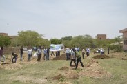 adopt plants in ajmer