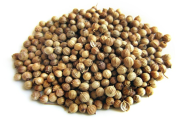coriander