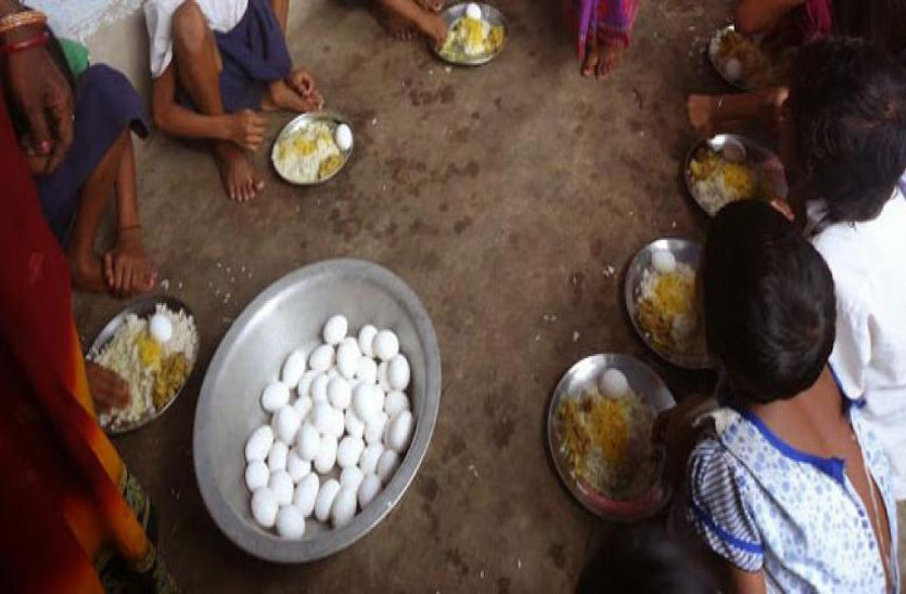 egg in mid day meal
