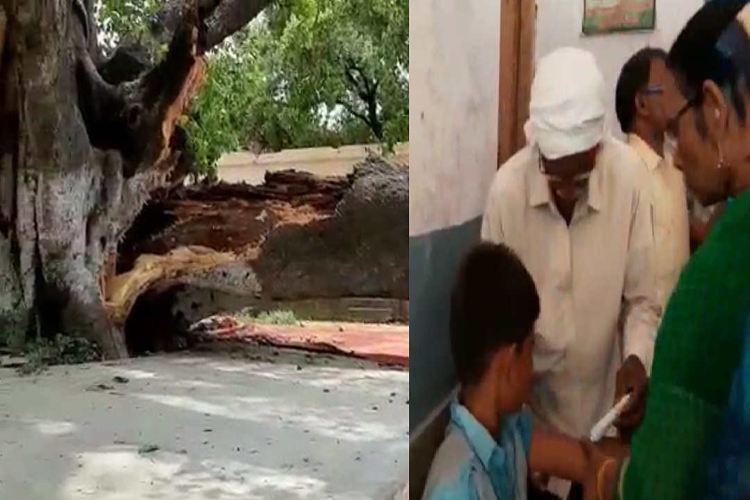 Falling tree in jaunpur