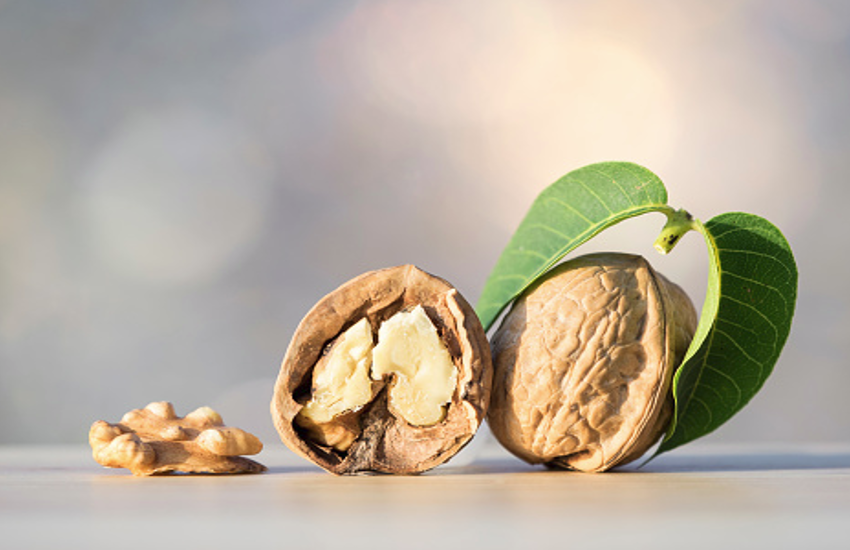 walnut
