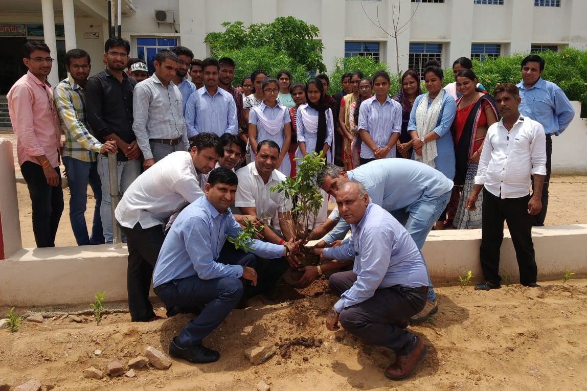 Planting the Haryallo Rajasthan Program