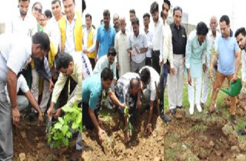 पर्यावरण को बचाने के लिए इस तरह जुटा कारवा कि लगा दिए एक दिन में हजार पौधे…