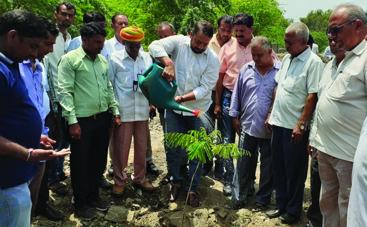 Planting campaign begins in Bhim assembly