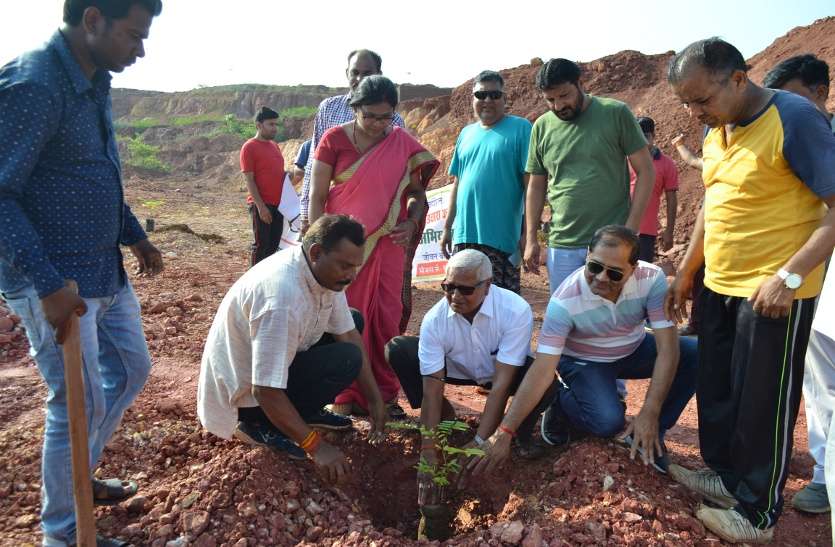 Plants planted in Jagriti Park