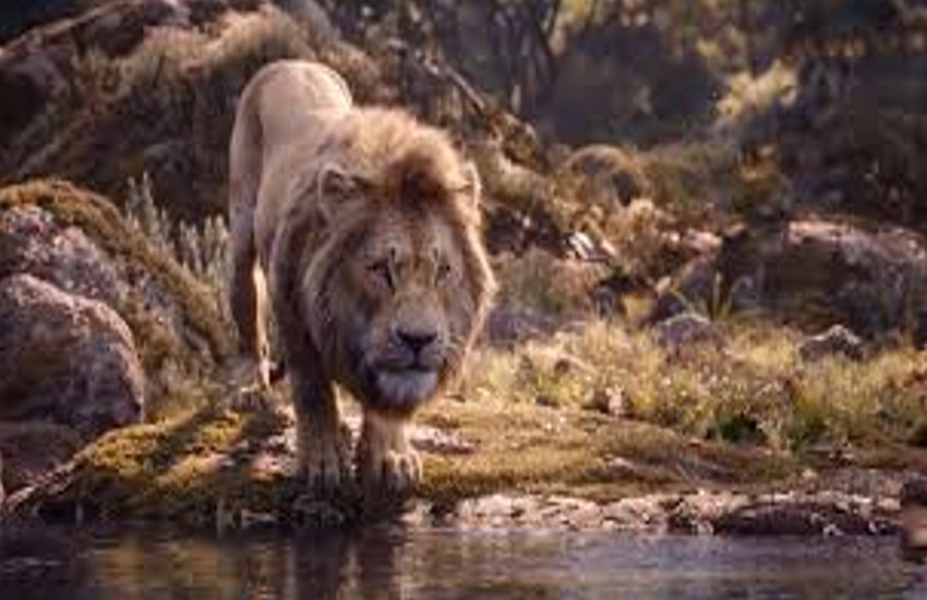 the lion king scene 