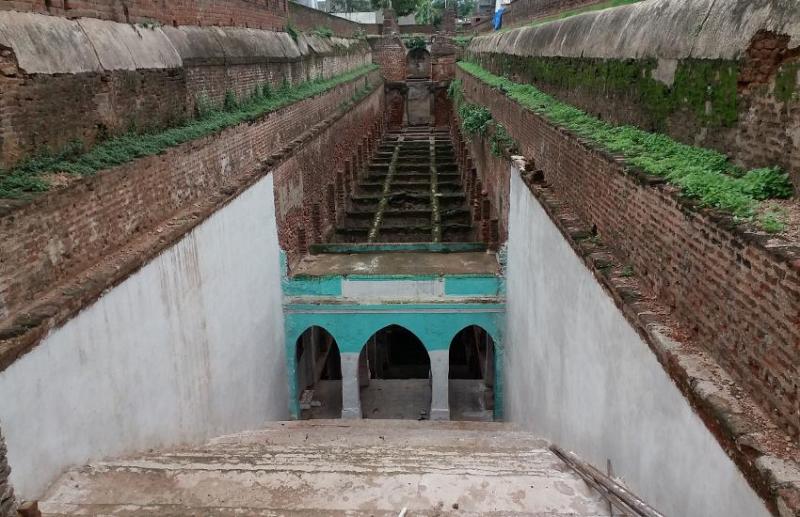 Vadjari vav of Borsad