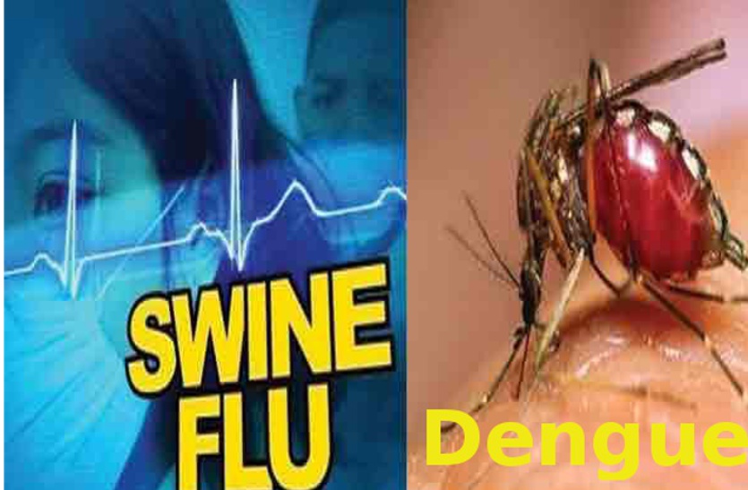 Dengue and swine flu