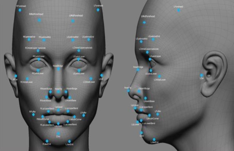 face data