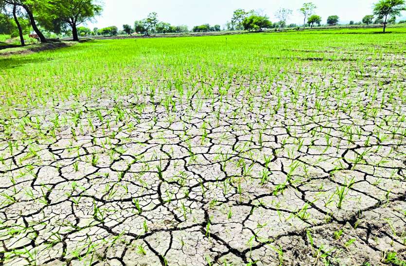 Lack of rain caused huge loss to villagers