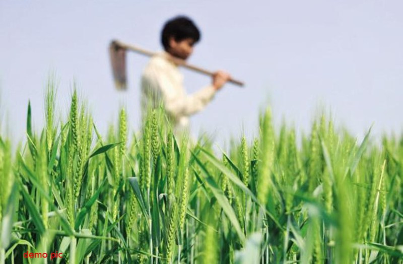 Rajasthan Government