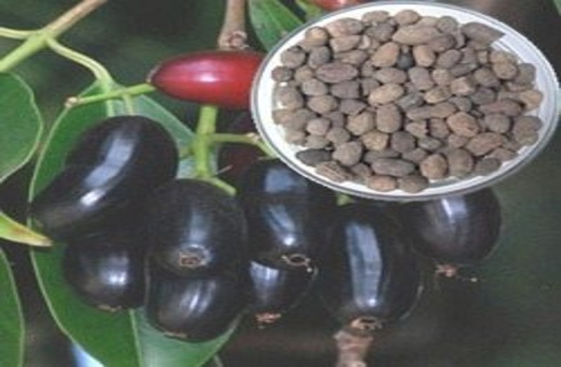 benefits of Blackberry Seeds