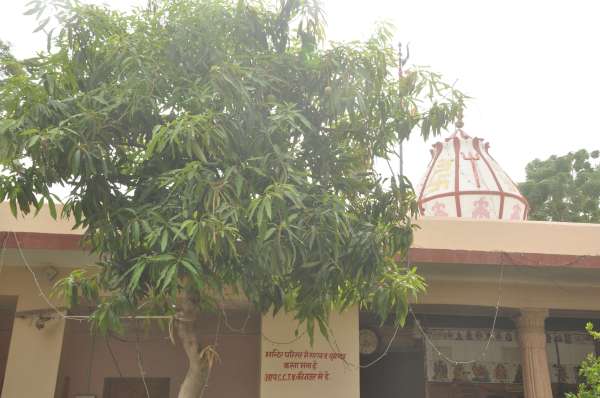 Also Mango in Barmer ...