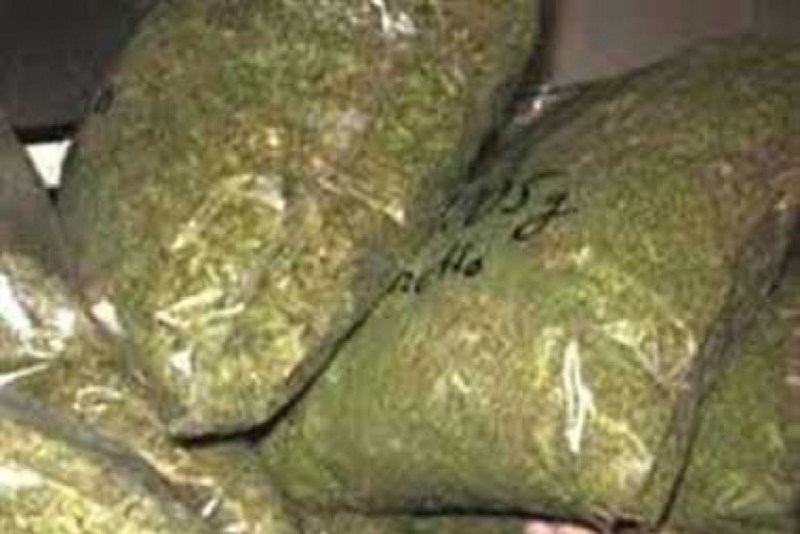 Ganja smugglling in Bilaspur