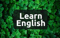 english, Education, learn english, education news in hindi, toefl, education tips in hindi, how to learn english, 