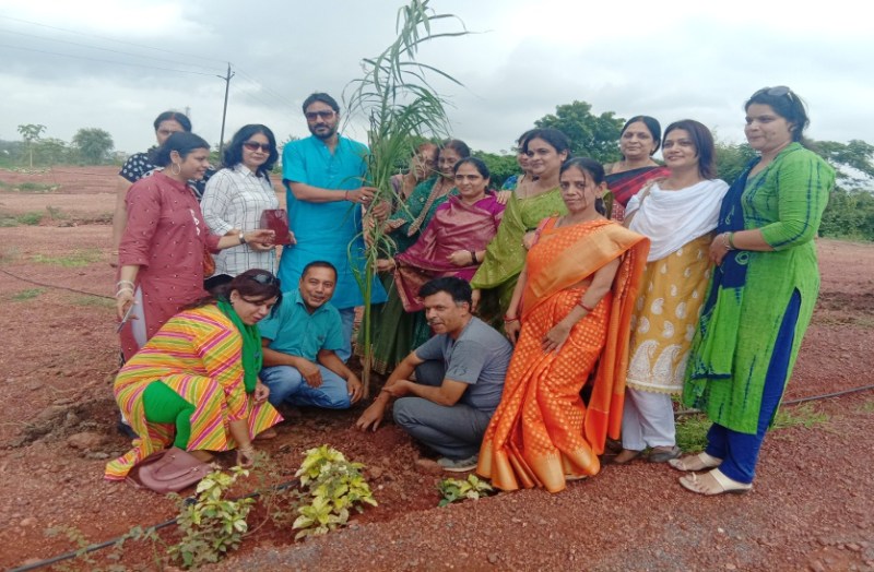 Plants planted in Jagriti Park