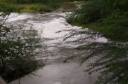 After the meeting the entrepreneurs, left polluted water in bhilwara