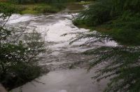 After the meeting the entrepreneurs, left polluted water in bhilwara