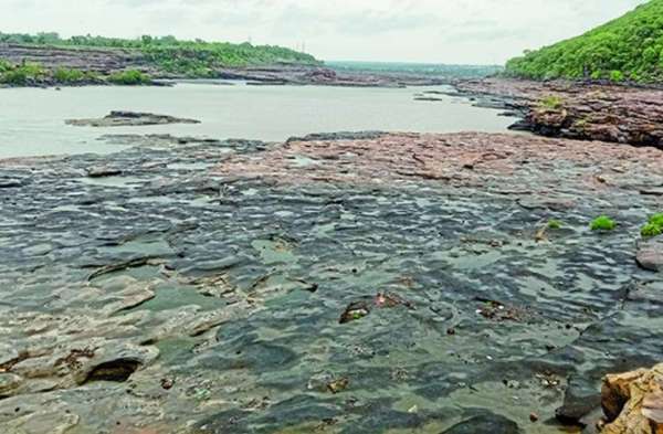  Beautiful picnic spot's