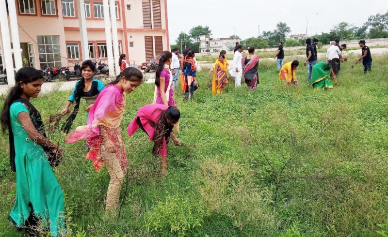 Plantation with eradication of carrot grass in Girls College singrauli