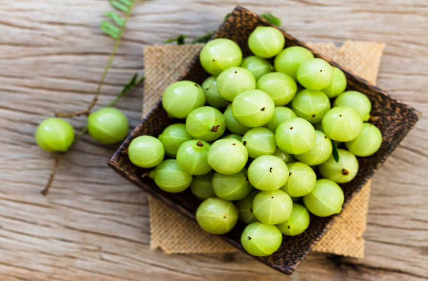 amla-will-cure-mouth-ulcers-and-stomach-disorders