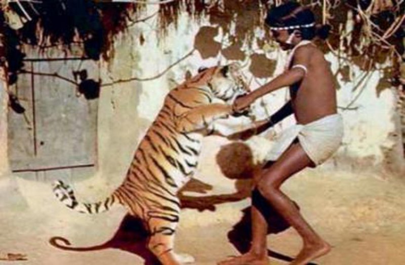 bastar mogali chendru