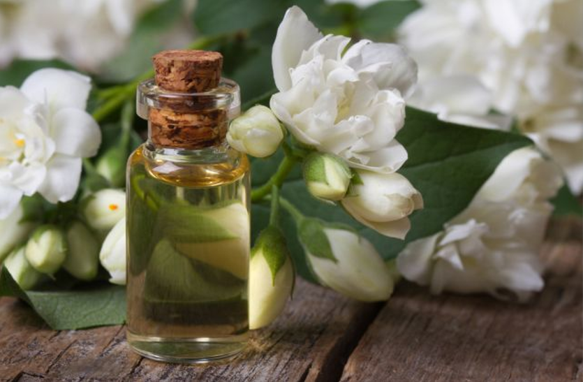 jasmine-flowers-leaves-and-oils-are-beneficial-in-many-diseases