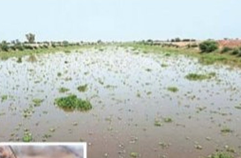 Ghaghar River In rajasthan