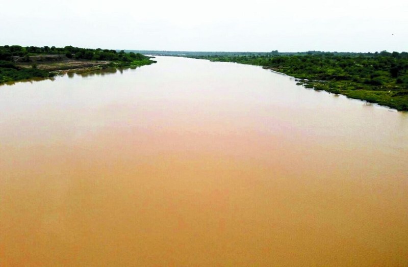 Melon-cucumber blossom again in Banas river belt