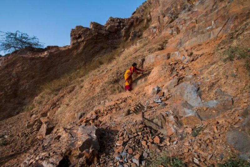 पानी की कमी और सार-संभाल के अभाव में करीब 30 लाख पौधे तो सूखकर नष्ट हो गए। कई पौधे अतिक्रमण (illegal capture) की भेंट चढ़ गए।