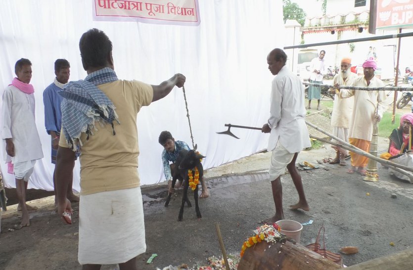 bastar dussehra