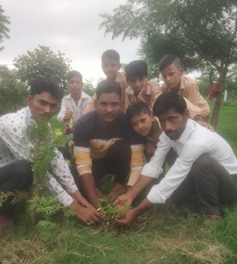 Planting plantation in the campaign of greenery