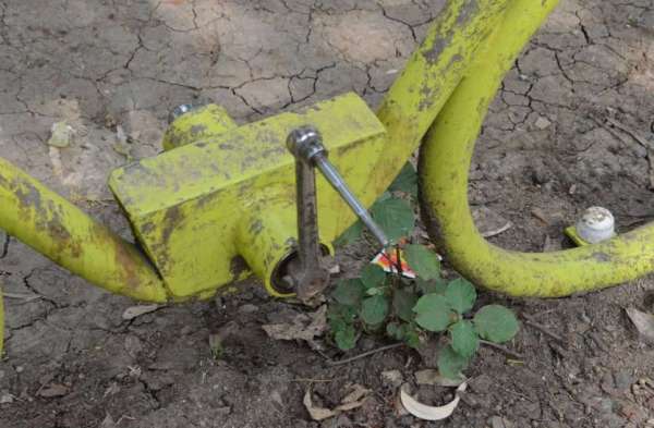 मधुकरशाह पार्क  के लिए जिम्मेदार कौन?