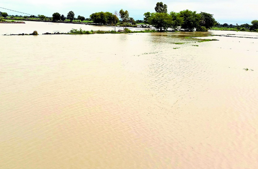 Farms submerged