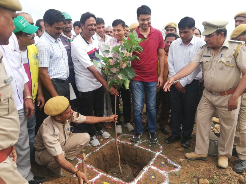 Pledge to save thousands of saplings planted in forest festival