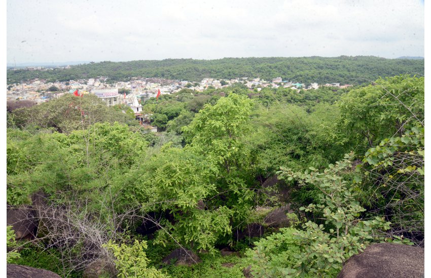Madan Mahal Hills