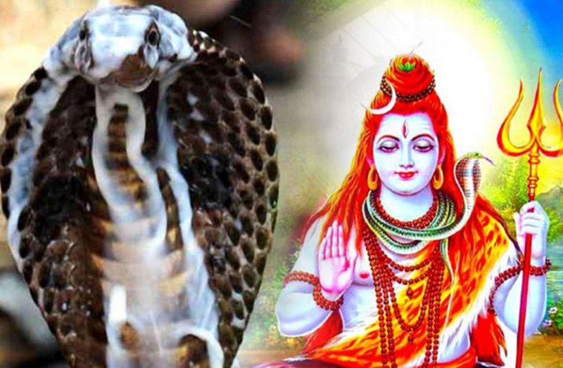 इस विधि से करें नाग पंचमी का पूजन, तो जीवन हो जाएगा खुशहाल